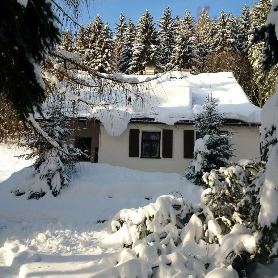 Orli Hnizdo Villa Черни Дул Екстериор снимка